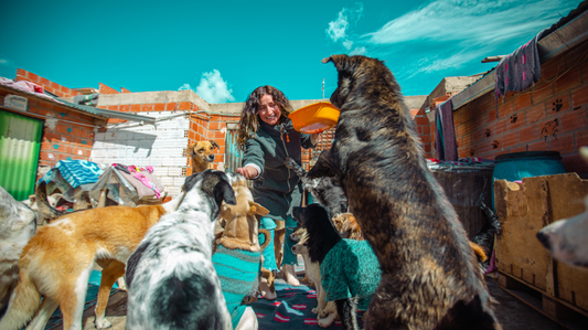 Albergue de perros abandonadas Genesis El Alto Bolivia