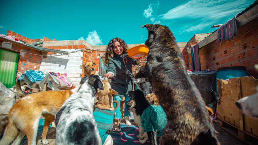 Albergue de perros abandonadas Genesis El Alto Bolivia
